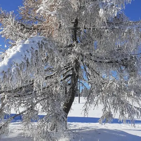 Restaurace A Vlci Jama * Horni Blatna