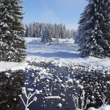 Restaurace A Vlci Jama Guest house Horni Blatna