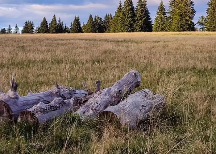 Restaurace A Vlci Jama Horní Blatná